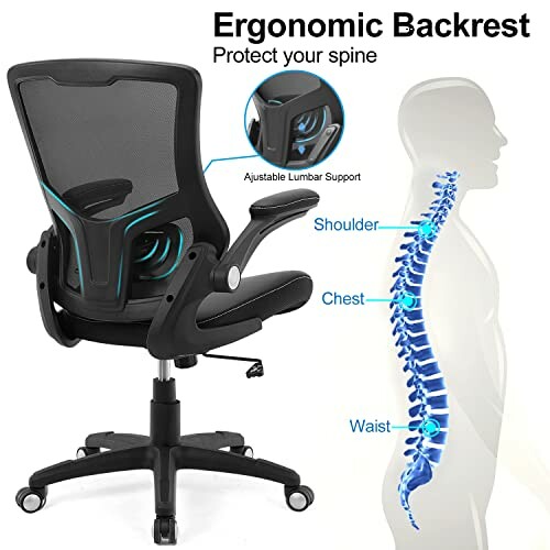 Ergonomic office chair with adjustable lumbar support and spine illustration.